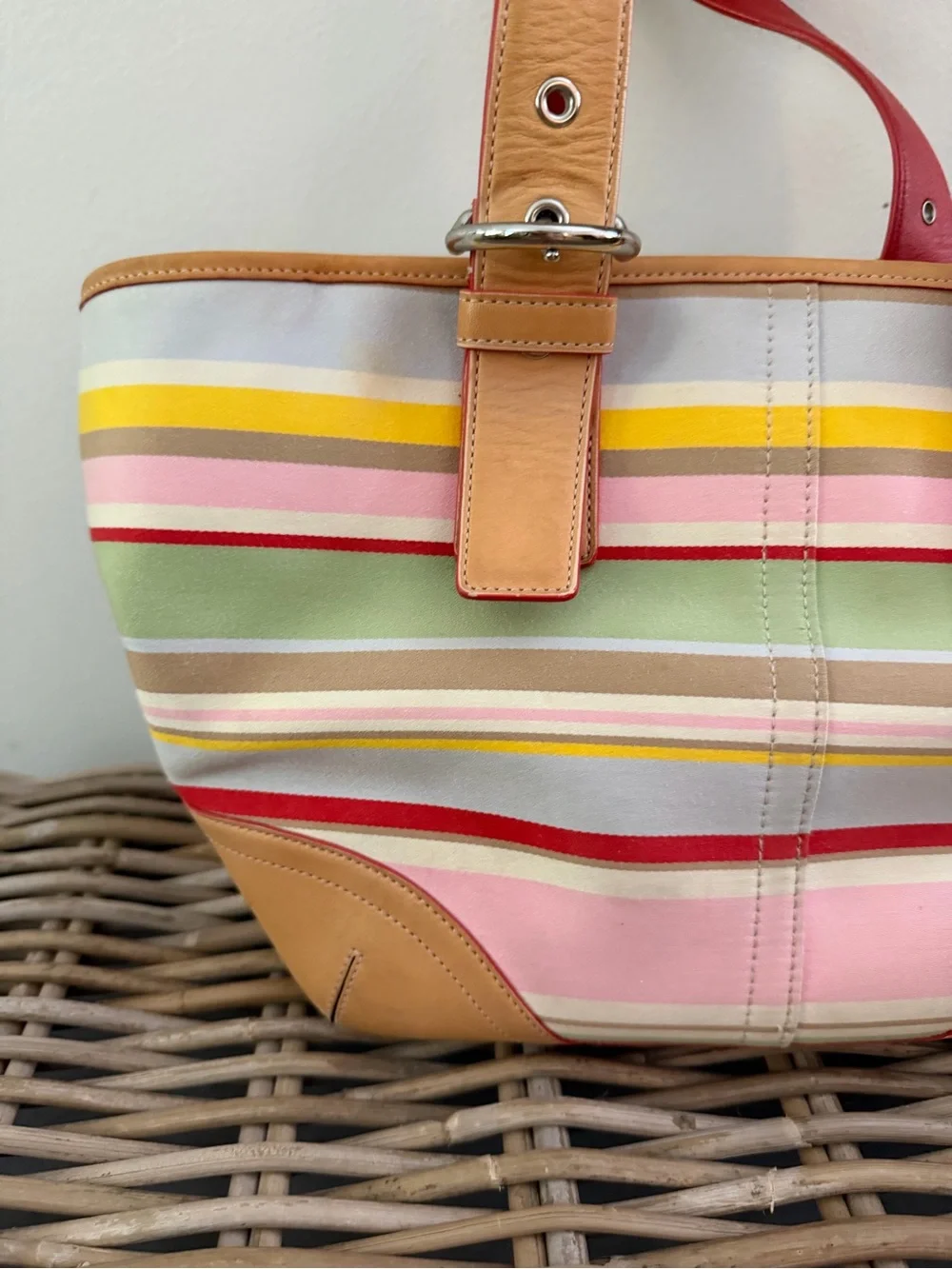 COACH Hampton Daisy Vachetta Leather Twill Multicolor Canvas Small Tote Bag 4435
